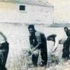 z. Labores agrícolas (13)